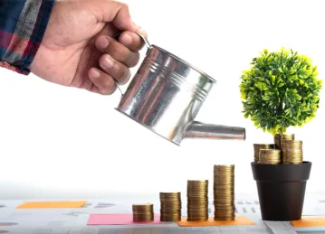 Arctic Tern Wealth management